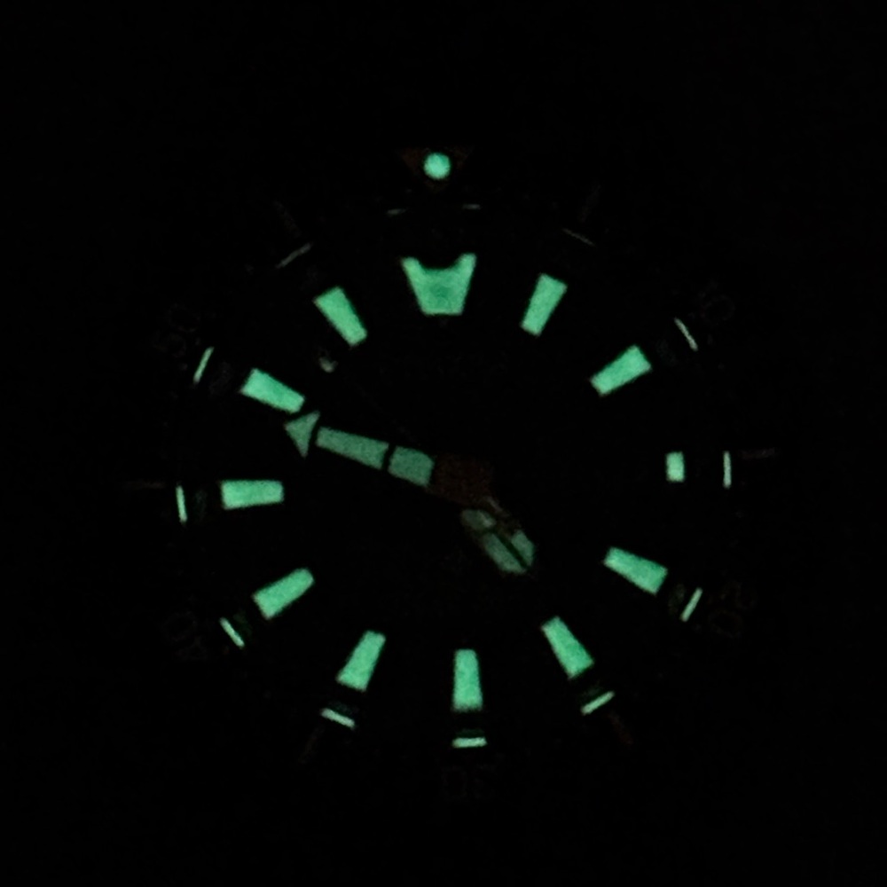 Citizen Promaster FUGU Dive Automatic men’s watch for sale - Picture 9 of 11